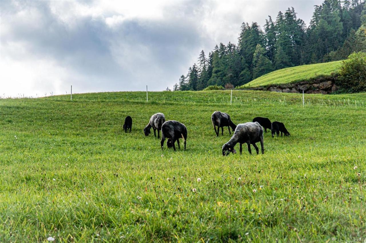 Zoeschgenhof Lejlighed Matrei in Osttirol Eksteriør billede